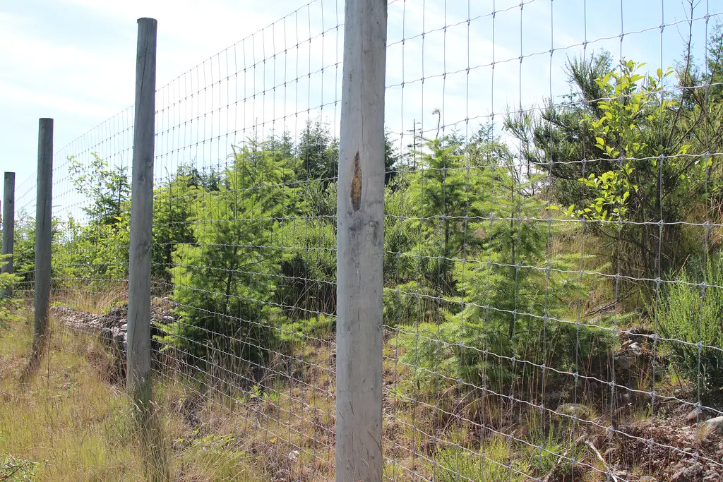 types of cattle fencing