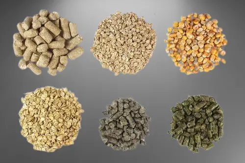 cattle feed types