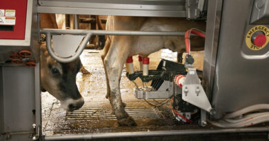 Robotic Milking Systems