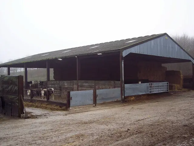 Cattle Barn Designs